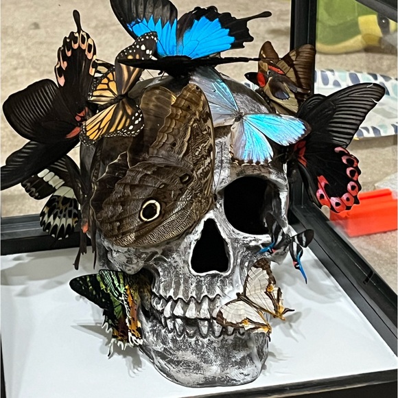 Skull sculpture with real butterflies, in 10”x8”x10” shadow box - Picture 3 of 11